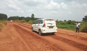 FB_IMG_1691117695371