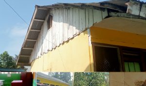 GridArt_20240328_161454913