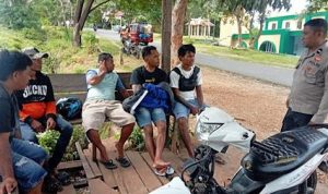 IMG-20240613-WA0395(1)