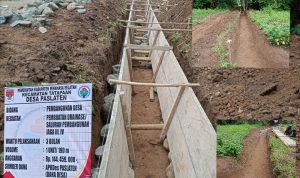 Polish_20250619_141835002