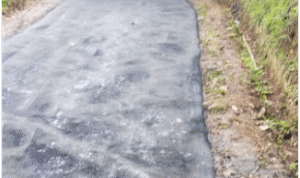 Screenshot_2025-11-28-12-50-10-365_com.whatsapp