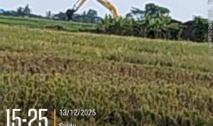 IMG-20251214-WA0029(1)