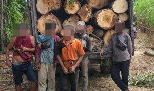 IMG-20251218-WA0092_copy_800x592