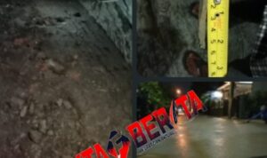 Screenshot_20251204-123633